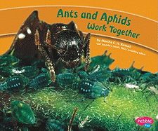 Ants and Aphids Work Together