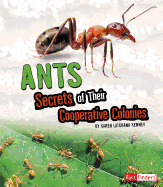 Ants: Secrets of Their Cooperative Colonies