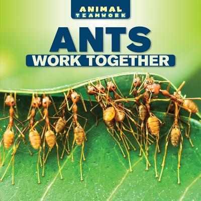 Ants Work Together - Ellison, Nora