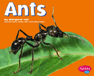 Ants