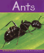 Ants - Coughlan, Cheryl