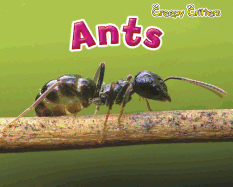 Ants