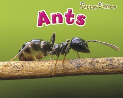 Ants - Rissman, Rebecca