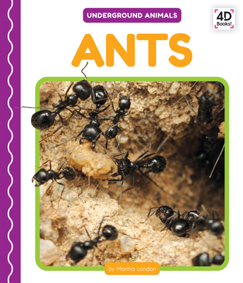 Ants - London, Martha