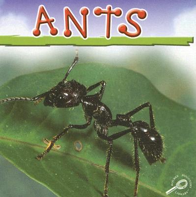 Ants - Cooper, Jason