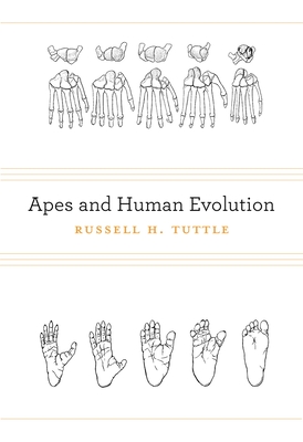 Apes and Human Evolution - Tuttle, Russell H