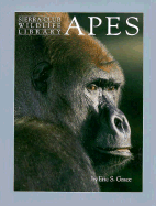Apes