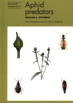Aphid predators - 