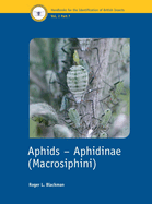 Aphids - Aphidinae (macrosiphini)