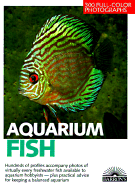 Aquarium Fish