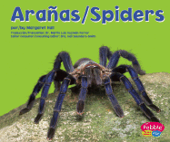 Aranas/Spiders