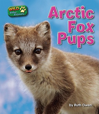 Arctic Fox Pups - Owen, Ruth