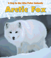 Arctic Fox