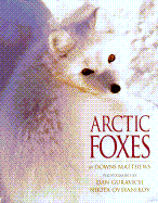 Arctic Foxes