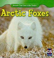 Arctic Foxes