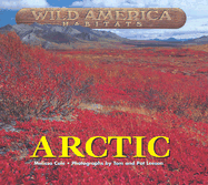 Arctic