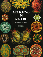 Art Forms in Nature