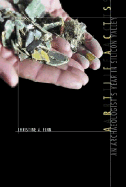 Artifacts: An Archaeologist's Year in Silicon Valley