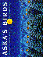 Aska's Birds - Day, David