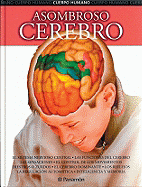 Asombroso Cerebro