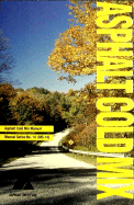 Asphalt cold-mix manual.