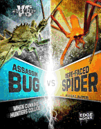 Assassin Bug vs Ogre-Faced Spider: When Cunning Hunters Collide