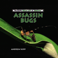 Assassin Bugs
