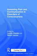 Assessing Pain and Communication in Disorders of Consciousness
