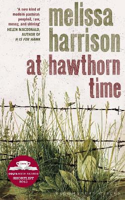 At Hawthorn Time - Harrison, Melissa