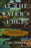 At the Water's Edge: Macroevolution and the Transformation of Life