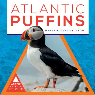 Atlantic Puffins - Borgert-Spaniol, Megan