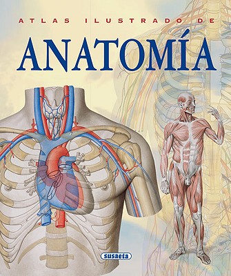 Atlas Ilustrado de Anatomia - Susaeta Publishing Inc (Editor)