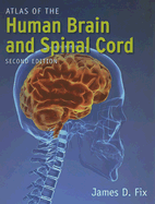 Atlas of the Human Brain and Spinal Cord: .