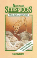 Australian Sheep Dogs: Training & Handling