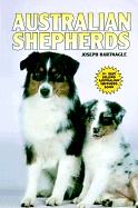 Australian Shepherds