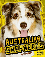 Australian Shepherds