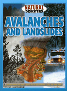 Avalanches and Landslides