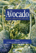 Avocado: Botany, Production and Uses