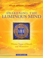 Awakening the Luminous Mind: Tibetan Meditation for Inner Peace and Joy