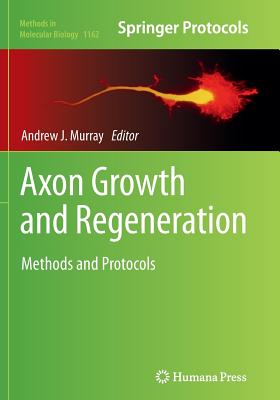 Axon Growth and Regeneration: Methods and Protocols - Murray, Andrew J (Editor)