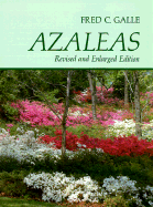Azaleas