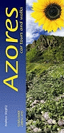 Azores: Car Tours and Walks