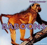 Baboons