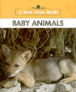 Baby Animals - Podendorf, Illa