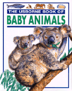 Baby Animals