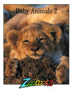 Baby Animals