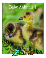 Baby Animals