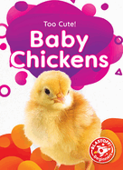 Baby Chickens