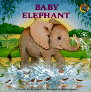 Baby Elephant