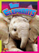 Baby Elephants